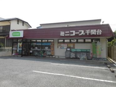 ミニコープ千間台店：244m