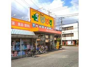 どらっぐぱぱす伊興町店：453m