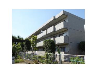 ３階建て