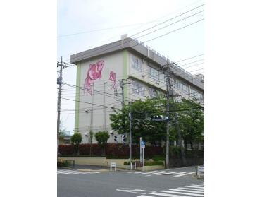 江戸川区立一之江第二小学校：556m