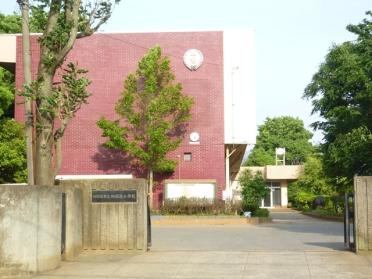 四街道市立四街道小学校：246m