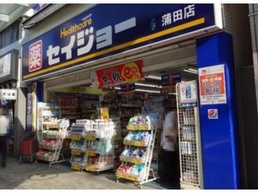 くすりセイジョー蒲田店：242m