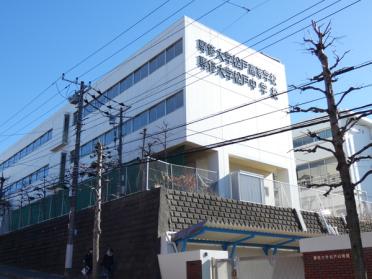 私立専修大学松戸中学校：439m