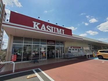 カスミ柏たなか駅前店：336m