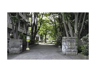 私立多摩美術大学造形表現学部：1229m