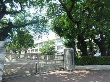 練馬区立練馬中学校：315m