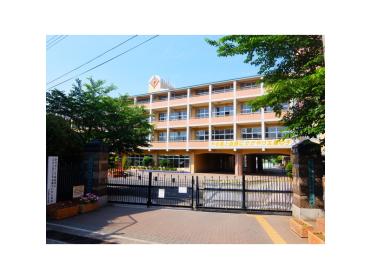 さいたま市立大谷場東小学校：564m