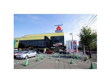 ヤマダデンキテックランド東京本店：554m