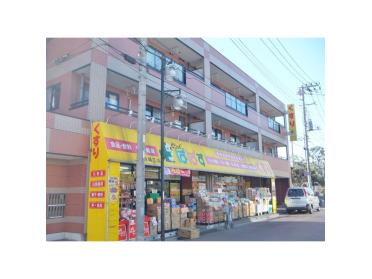 どらっぐぱぱす西瑞江店：541m