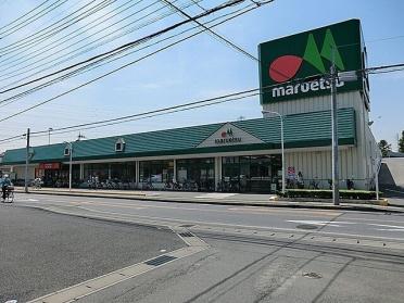 マルエツ野々下店：500m