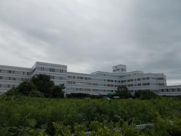 島田台病院：400m