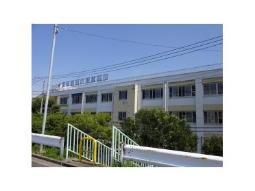 江戸川区立瑞江小学校：732m