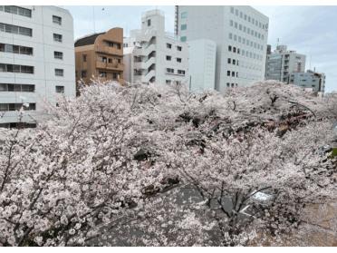 文京区立窪町小学校：674m