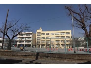 日吉南小学校：700m
