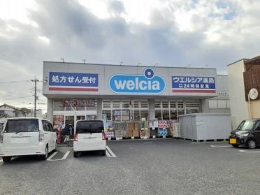 ウエルシア　東川口店：1300m