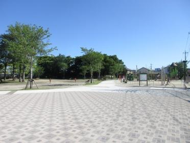 大枝公園：560m