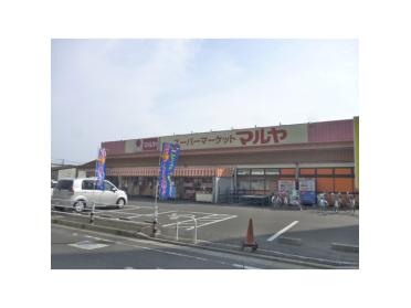 マルヤ南流山店：161m