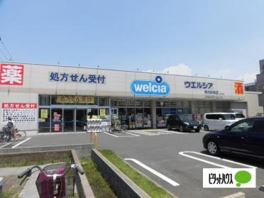 ウエルシア市川妙典店：242m