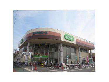 コープ幸町店：753m