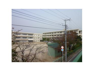 我孫子市立我孫子第三小学校：237m