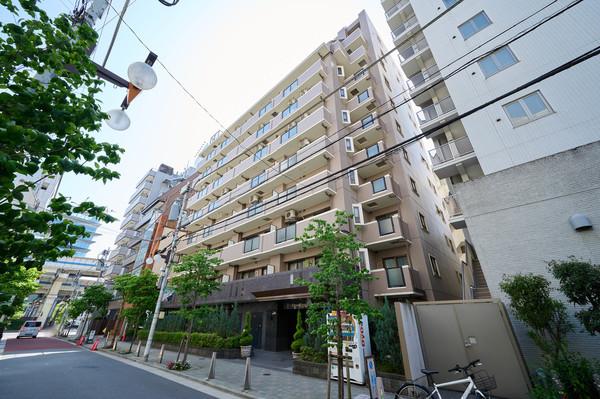 SRC造 11階建て 総戸数43戸