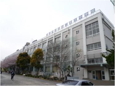 松江第五中学校学区