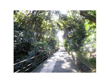 富岡総合公園　林道