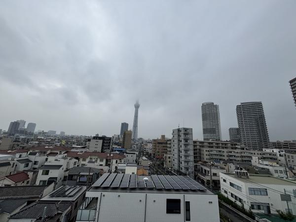 南西側ルーフバルコニーからの眺望(眺望は永続的に保証されるものではありません)