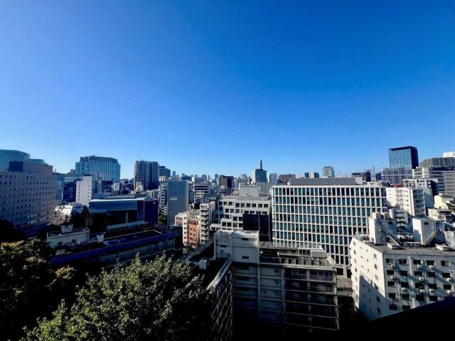 眺望:南側バルコニーより