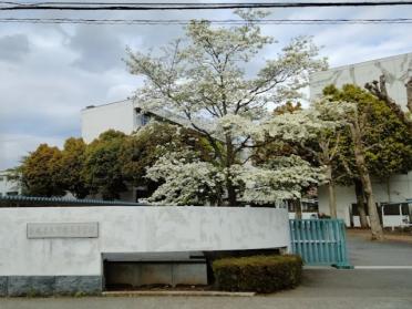 茨城県立竹園高校：1972m