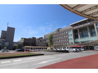 新潟大学医歯学総合病院：977m
