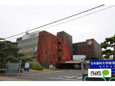 日本歯科大学新潟病院：1215m