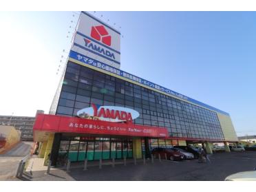 ヤマダ電機テックランド新潟関新店：2009m