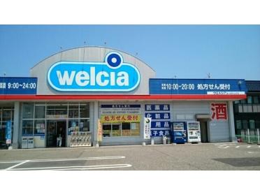 ウエルシア新潟小新店：450m