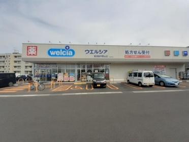 ウエルシア新潟東中野山店：1100m