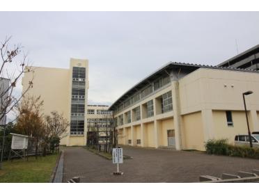 新潟市立万代長嶺小学校：171m