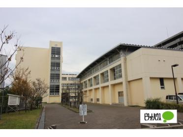 新潟市立万代長嶺小学校：530m