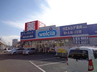 ウエルシア中浦和店：342m