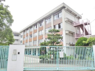 寝屋川市立国松緑丘小学校：814m