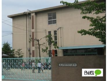 枚方市立中宮小学校：643m