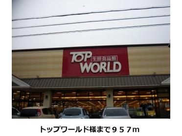 ＴＯＰＷＯＲＬＤ様：957m