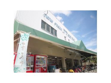 万代枚方高野道店：976m