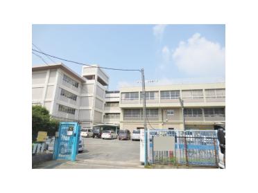 寝屋川市立桜小学校：900m