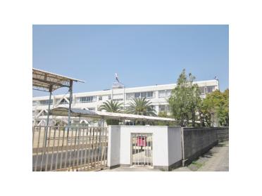 寝屋川市立池田小学校：709m