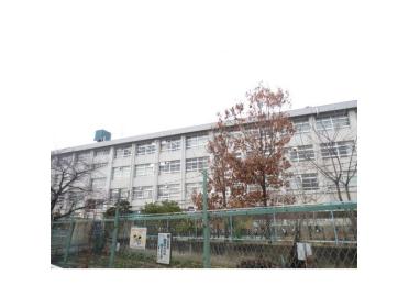 寝屋川市立桜小学校：900m