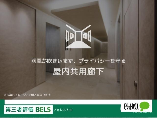 フォレストⅢ（101） 部屋画像