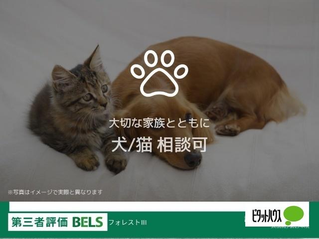 フォレストⅢ（201） 部屋画像
