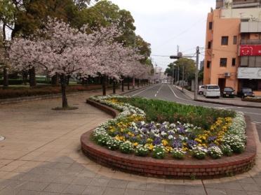 宮崎公立大学：1739m