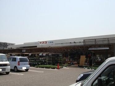 ナフコ　大塚店：230m