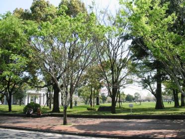 宮崎県総合文化公園：1334m